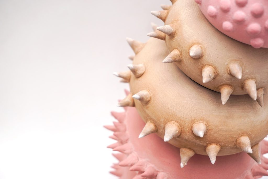 Living on The Growth, Various stoneware, 25 x 50 x 15, 2024 (4)